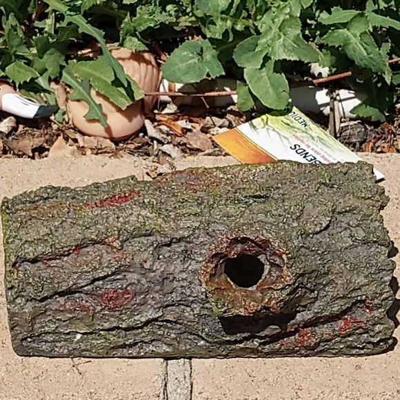 New! Zilla Bark Bends Medium Reptile Hide. - Picture 6 of 8